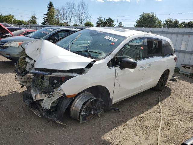 2023 HONDA ODYSSEY BL