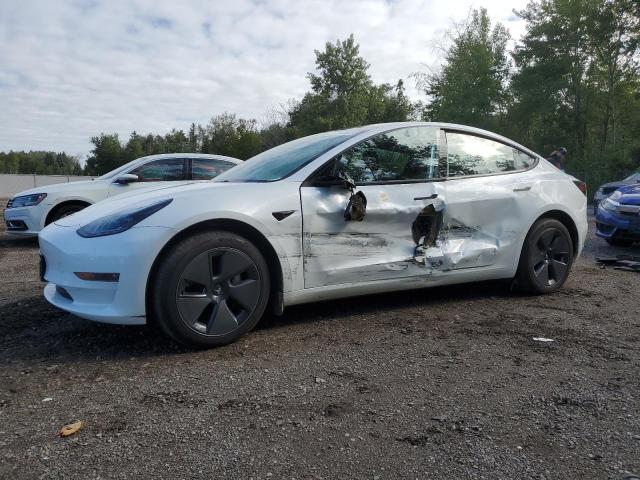 TESLA MODEL 3 2023 with VIN LRW3E1FA8PC876230 - Photo from auction