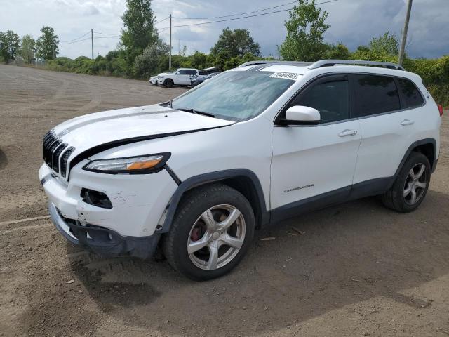 JEEP CHEROKEE L 2014 with VIN 1C4PJMDS8EW194683 - Photo from auction