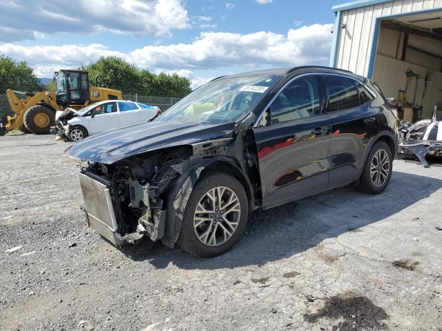 FORD ESCAPE SEL 2020 with VIN 1FMCU0H67LUC63427 - Photo from auction