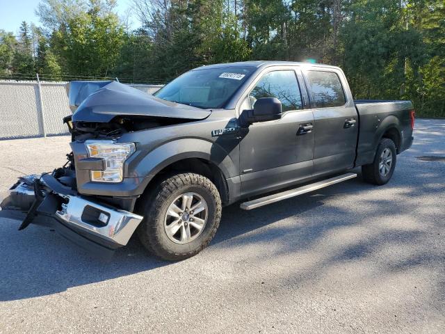 Photo 1 from auction – 2017 FORD F150 SUPER with VIN 1FTEW1CP1HFB56804