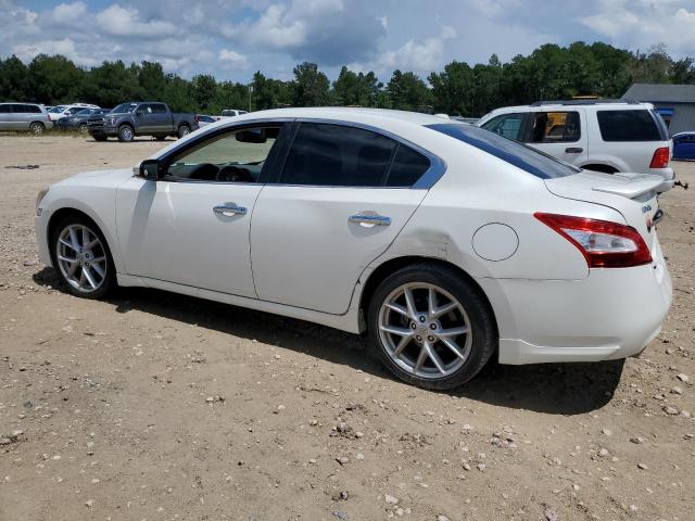 Photo 2 from auction – 2009 NISSAN MAXIMA S with VIN 1N4AA51E89C818151