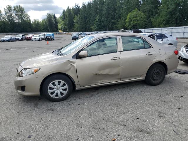 TOYOTA COROLLA BA 2010 with VIN 1NXBU4EE0AZ190672 - Photo from auction