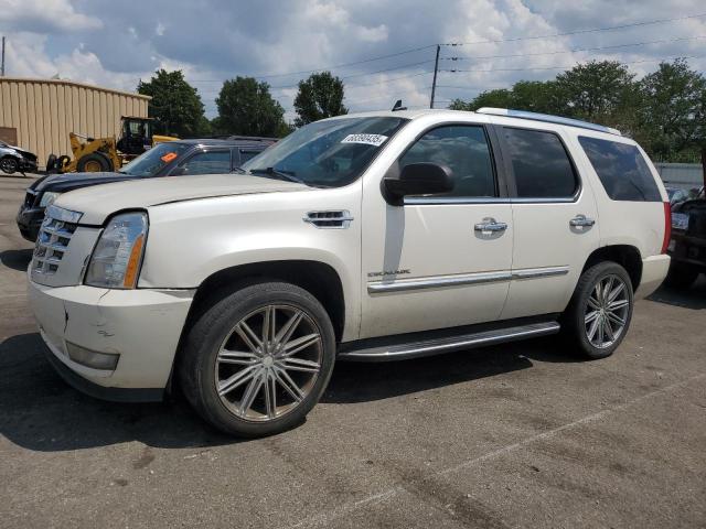 CADILLAC ESCALADE 2010 with VIN 1GYUKAEF8AR169401 - Photo from auction