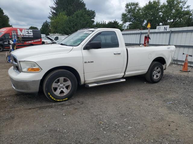 DODGE RAM 1500 2009 with VIN 1D3HB16PX9J516632 - Photo from auction