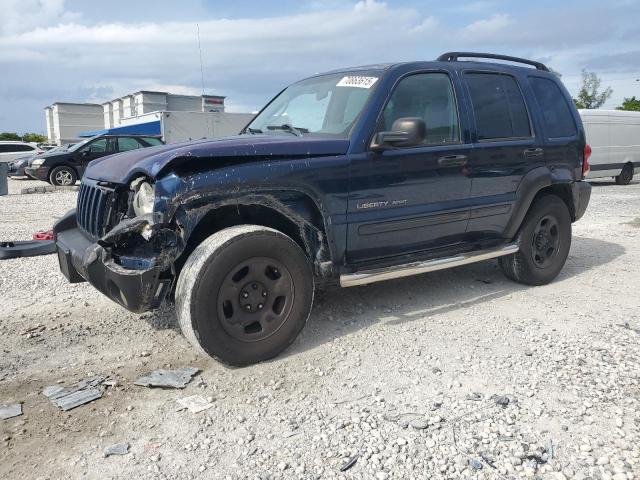 JEEP LIBERTY SP 2003 with VIN 1J8GL48K13W635791 - Photo from auction