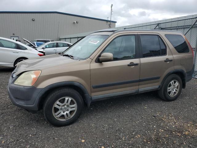 HONDA CR-V EX 2003 with VIN SHSRD78803U129160 - Photo from auction