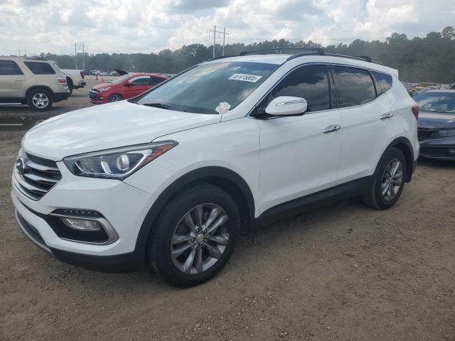 HYUNDAI SANTA FE S 2017 with VIN 5NMZU4LA6HH044667 - Photo from auction