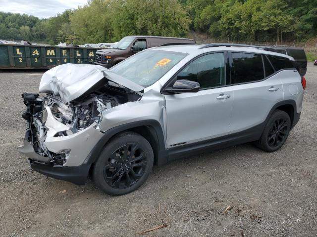 GMC TERRAIN SL 2020 with VIN 3GKALTEV6LL333946 - Photo from auction
