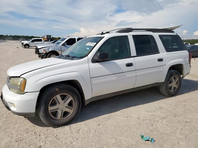 CHEVROLET TRAILBLAZE 2006 with VIN 1GNES16S366118572 - Photo from auction