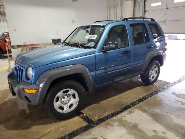 JEEP LIBERTY SP 2003 with VIN 1J4GL48K93W713171 - Photo from auction