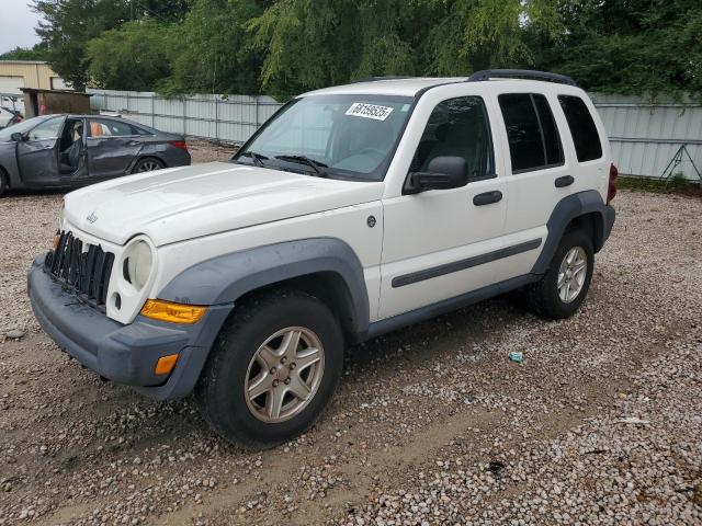 JEEP LIBERTY SP 2007 with VIN 1J4GL48K97W588307 - Photo from auction