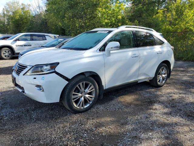 LEXUS RX 350 BAS 2013 with VIN 2T2BK1BA7DC162102 - Photo from auction
