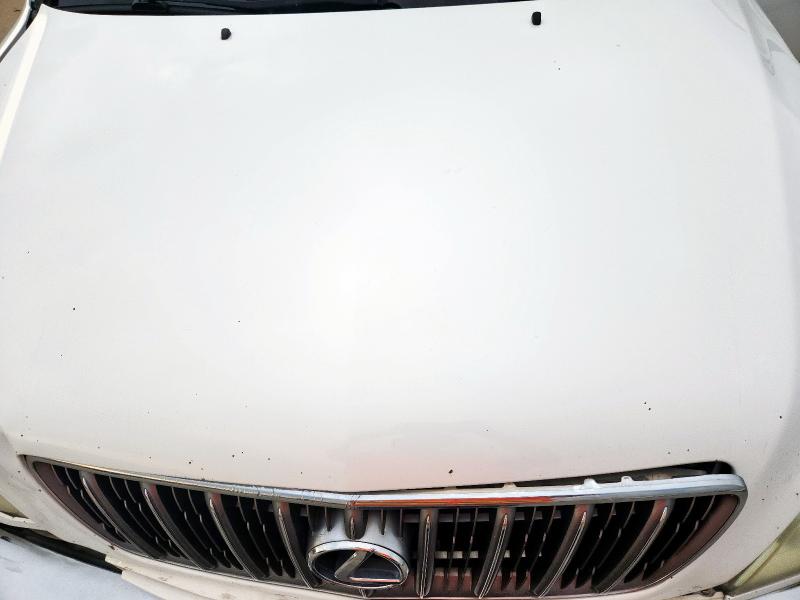 Photo 11 from auction – 2001 LEXUS RX 300 with VIN JTJGF10U410113129