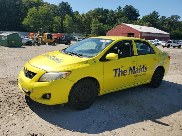 TOYOTA COROLLA BA 2010 with VIN 2T1BU4EE4AC375681 - Photo from auction