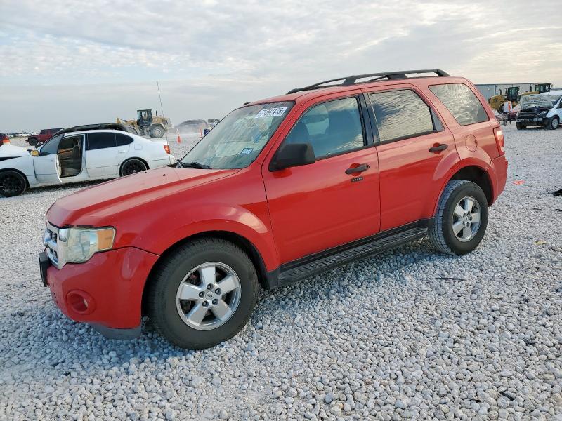 FORD ESCAPE XLT 2009 with VIN 1FMCU03G59KA03029 - Photo from auction