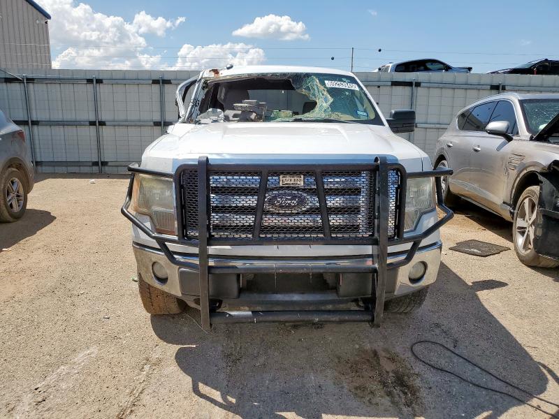 صورة رقم 5 من المزاد - 2012 FORD F150 SUPERCREW مع VIN 1FTFW1EF5CFB37142