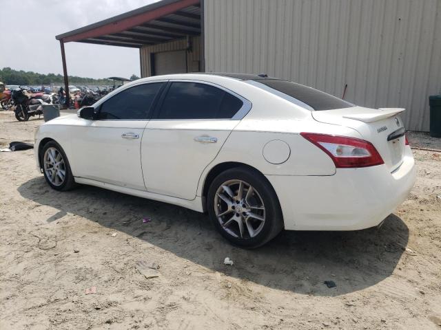 Photo 2 from auction – 2011 NISSAN MAXIMA S with VIN 1N4AA5AP1BC806088