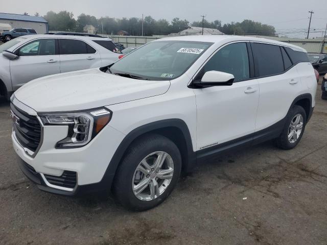 GMC TERRAIN SLE 2024 with VIN 3GKALTEG9RL255883 - Photo from auction