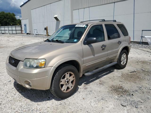 FORD ESCAPE XLT 2007 with VIN 1FMCU03107KA28333 - Photo from auction