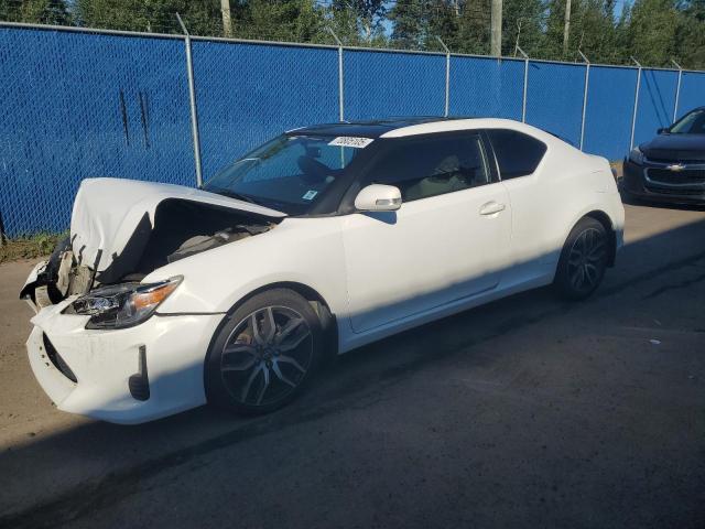 TOYOTA SCION TC 2014 with VIN JTKJF5C71E3081999 - Photo from auction