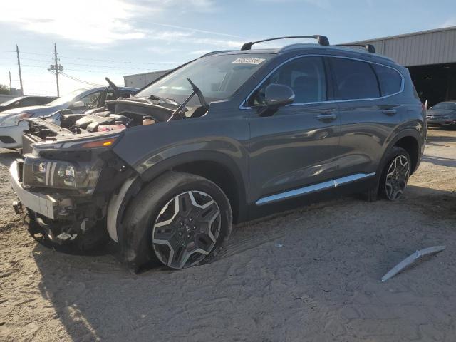 HYUNDAI SANTA FE L 2023 with VIN 5NMS5DA10PH007324 - Photo from auction