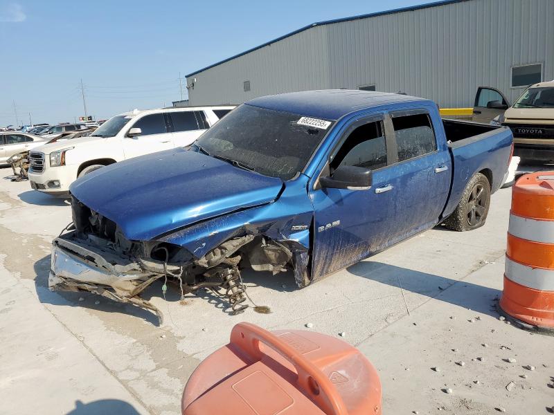 DODGE OTHER 2010 with VIN 1D7RB1CT0AS189340 - Photo from auction