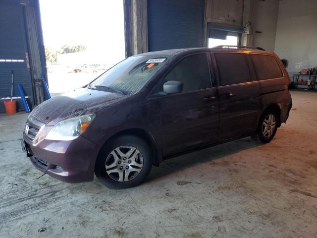 HONDA ODYSSEY EX 2007 with VIN 5FNRL38677B101282 - Photo from auction