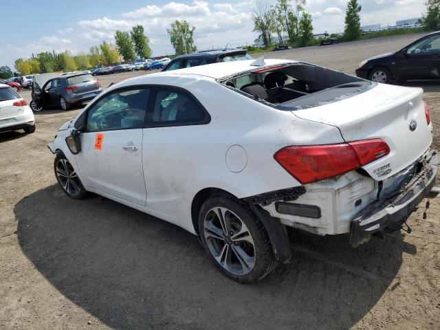 Photo 2 from auction – 2014 KIA FORTE EX with VIN KNAFX6A88E5212486