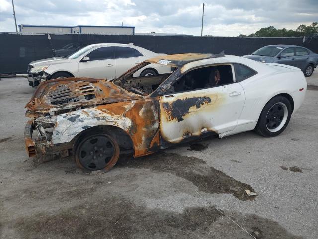 CHEVROLET CAMARO LS 2013 with VIN 2G1FA1E39D9243973 - Photo from auction