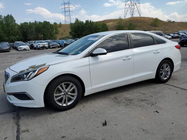 HYUNDAI SONATA SE 2016 with VIN 5NPE24AF5GH376376 - Photo from auction
