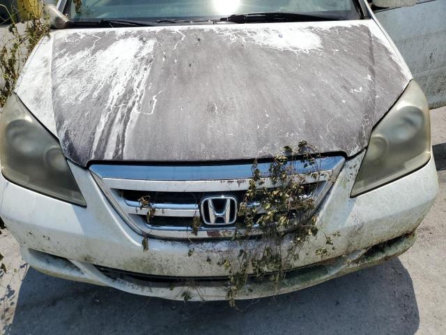 Photo 12 from auction – 2006 HONDA ODYSSEY with VIN 5FNRL38666B430182