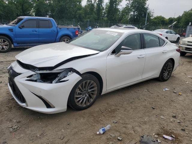 LEXUS ES 350 BAS 2024 with VIN 58AEZ1B10RU180839 - Photo from auction