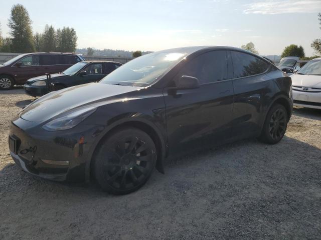 TESLA MODEL Y 2023 with VIN 7SAYGDEE8PF756586 - Photo from auction