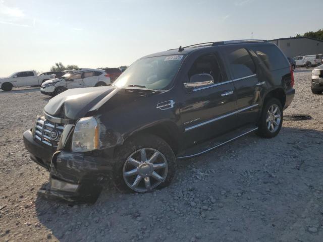 صورة رقم 1 من المزاد - 2010 CADILLAC ESCALADE مع VIN 1GYUKAEF7AR224288