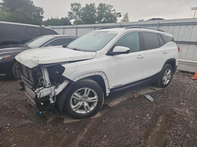 GMC TERRAIN SL 2021 with VIN 3GKALMEV8ML389460 - Photo from auction