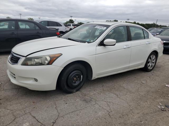 HONDA ACCORD EXL 2008 with VIN 1HGCP36878A024486 - Photo from auction