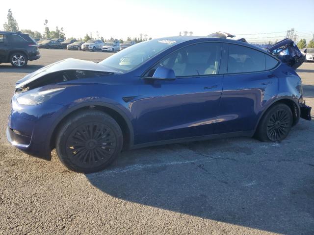 TESLA MODEL Y 2024 with VIN 7SAYGDED0RF019599 - Photo from auction