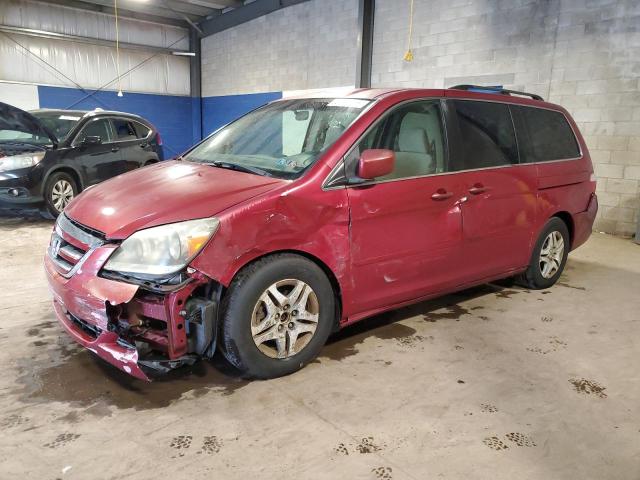 HONDA ODYSSEY EX 2006 with VIN 5FNRL38406B442813 - Photo from auction