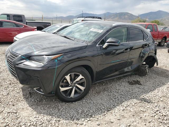 LEXUS NX 300 BAS 2019 with VIN JTJBARBZ5K2181882 - Photo from auction
