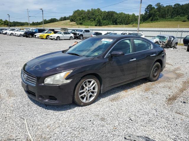 NISSAN MAXIMA S 2010 with VIN 1N4AA5AP5AC862694 - Photo from auction