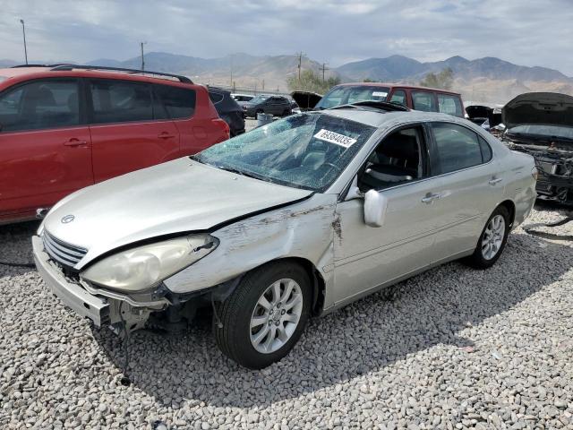 LEXUS ES 330 2004 with VIN JTHBA30G245007401 - Photo from auction