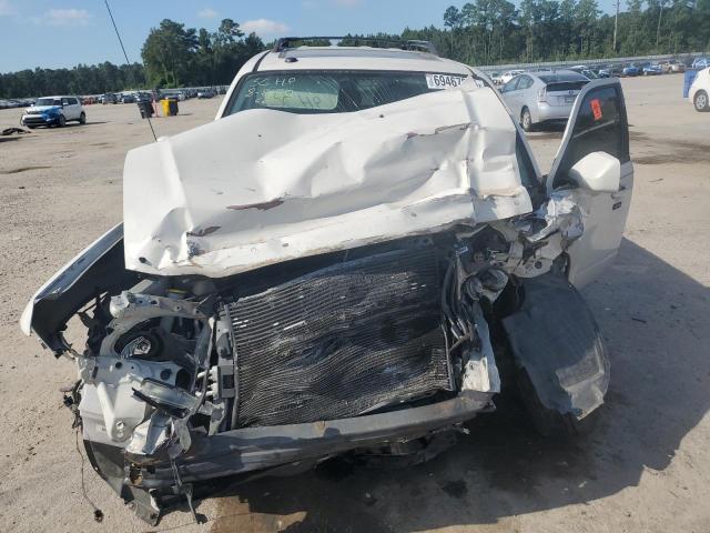 Photo 5 from auction – 2009 FORD ESCAPE LIM with VIN 1FMCU04789KC47904