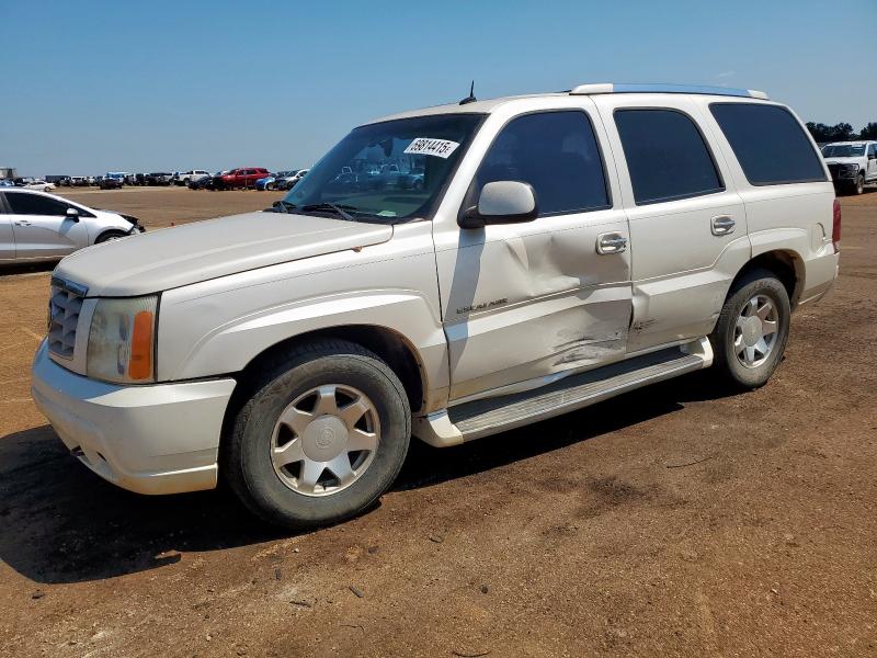 CADILLAC ESCALADE L 2002 with VIN 1GYEC63T82R281222 - Photo from auction