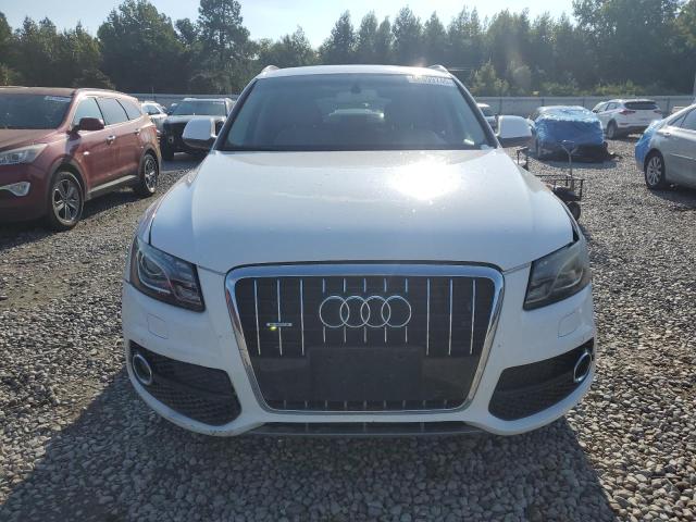 Photo 5 from auction – 2011 AUDI Q5 PREMIUM with VIN WA1DKAFP1BA021226