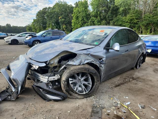 TESLA MODEL Y 2025 with VIN 7SAYGDEE9SA366490 - Photo from auction