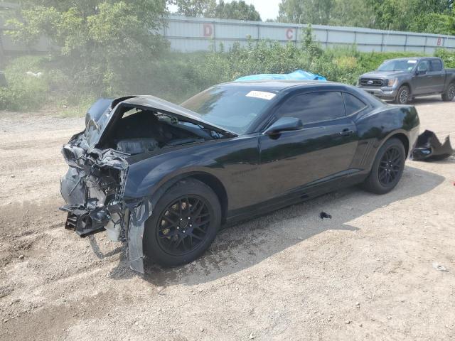 CHEVROLET CAMARO LS 2010 with VIN 2G1FA1EV1A9166691 - Photo from auction