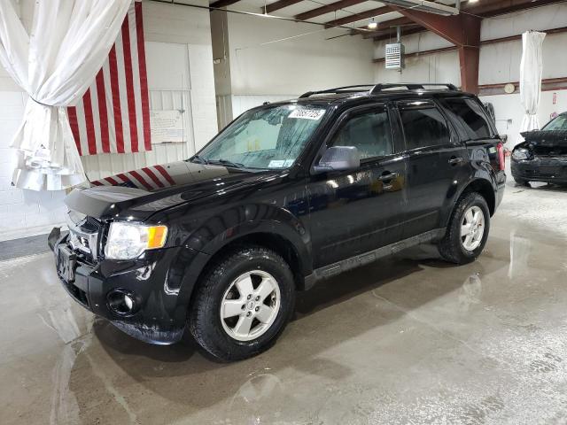 FORD ESCAPE XLT 2010 with VIN 1FMCU0DG9AKC23311 - Photo from auction
