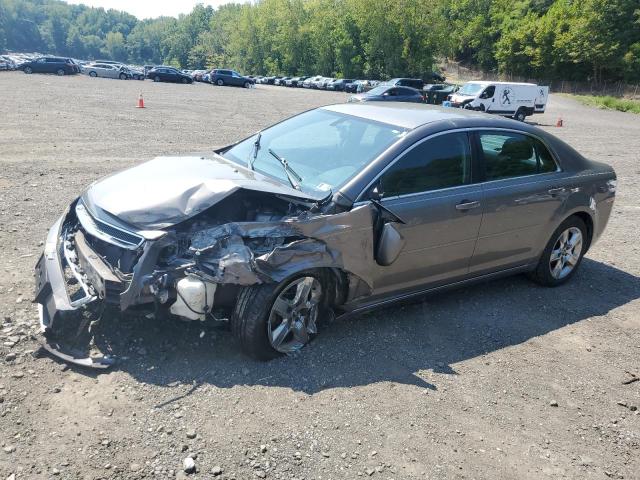 CHEVROLET MALIBU 1LT 2010 with VIN 1G1ZC5EB8AF101560 - Photo from auction