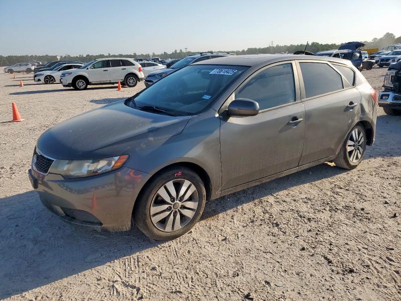 KIA FORTE EX 2013 with VIN KNAFU5A20D5728077 - Photo from auction